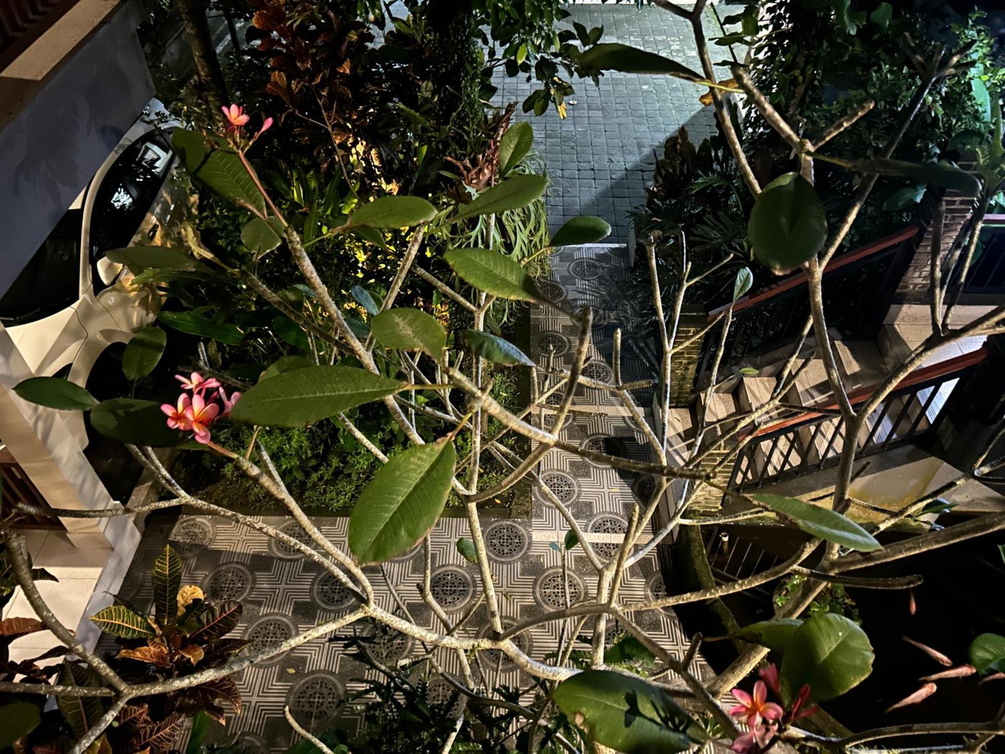 Balimas Guest House Ubud Eksteriør bilde