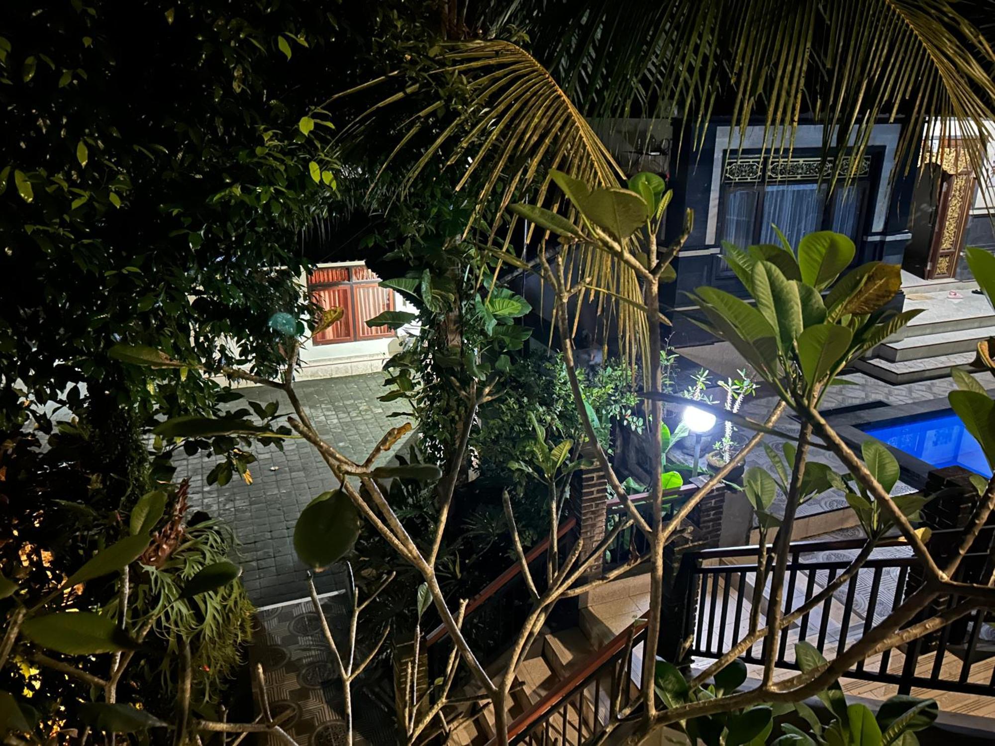 Balimas Guest House Ubud Eksteriør bilde